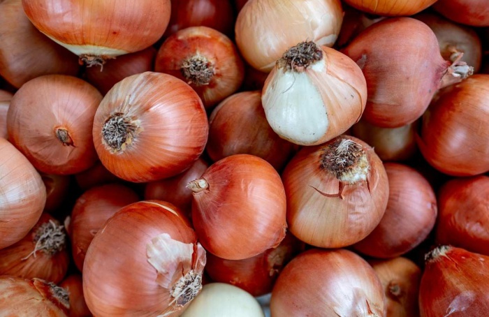 Custos de produção pressionam a safra de cebola no RS