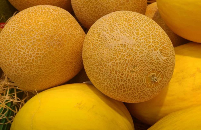Volume de frutas exportadas pelo Brasil sobe 27,1% em 2025