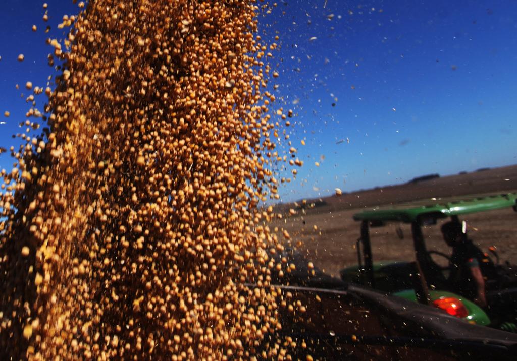 Na abertura da colheita da safra da soja, Novacki destaca importância da garantia de crédito para o agricultor