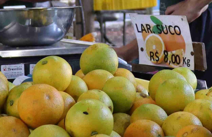 Citros do Rio Grande do Sul devem manter estabilidade produtiva em 2026