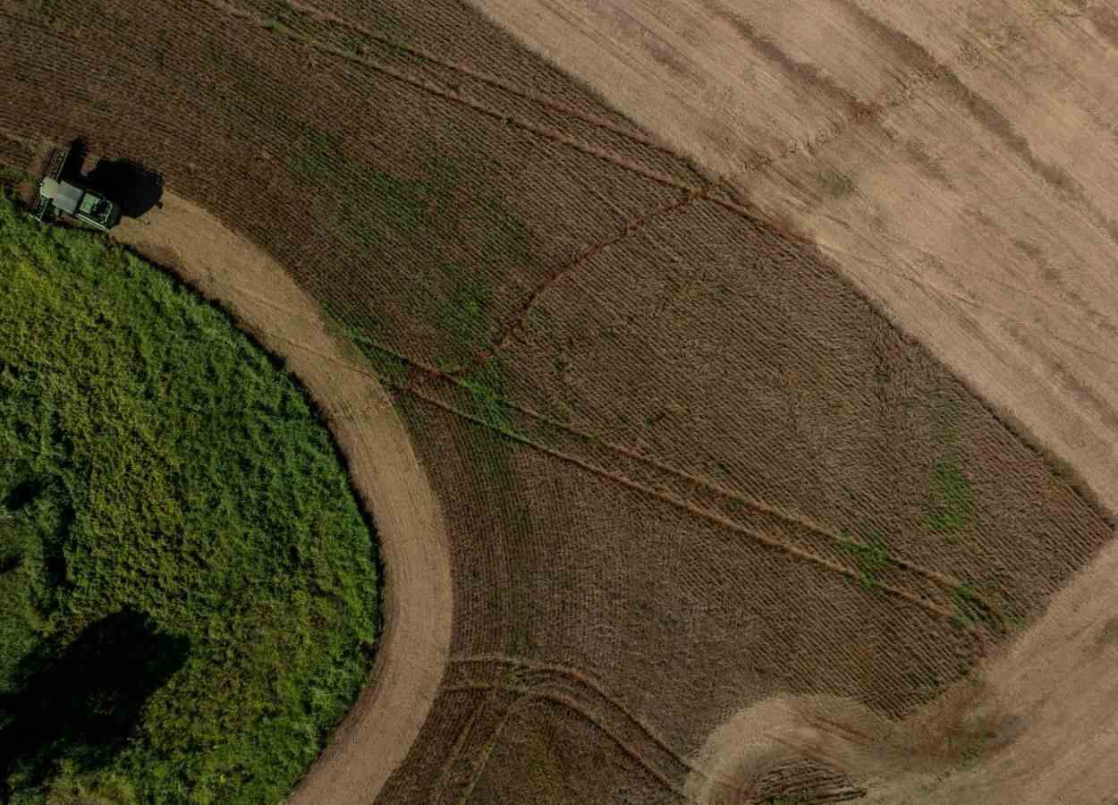 Agro de SC cresce 15% e atinge R$ 74,9 bilhões em 2025
