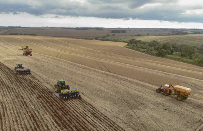 PR Safra 2025/26: soja projeta novo recorde