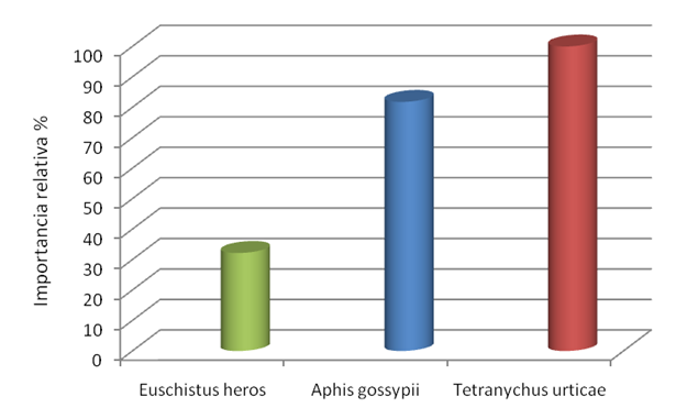 Figura 1 - Importância relativa de espécies-pragas presentes em plantas daninhas por ocasião da entressafra da cultura do algodoeiro. Fundação Chapadão 2012-2013