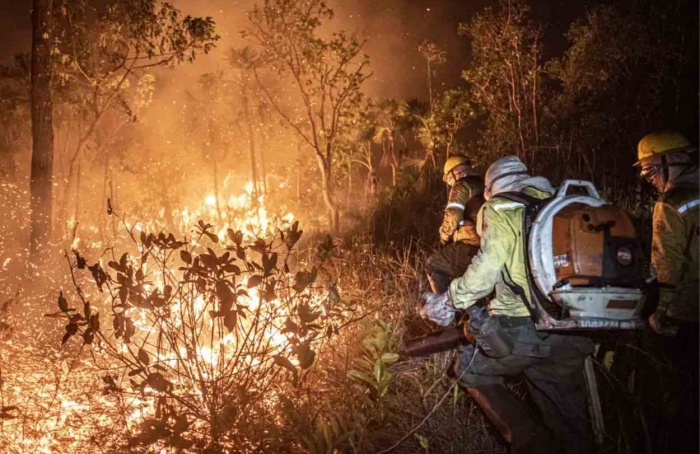 Quebra de safra da cana pode chegar a 15% com prejuízos de R$ 2,5 bilhões devido a incêndios