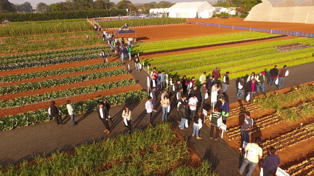 Dia de Campo da Agristar se consolida como um dos eventos mais importantes da horticultura