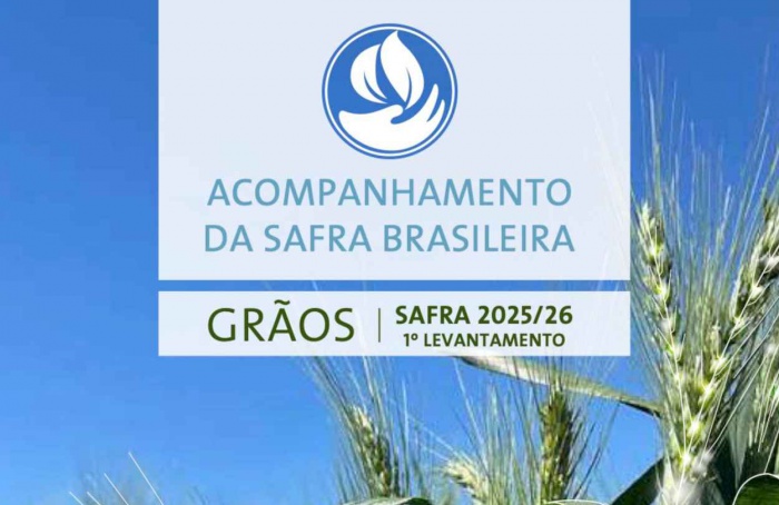 Conab divulga primeiro levantamento da safra 2025/26