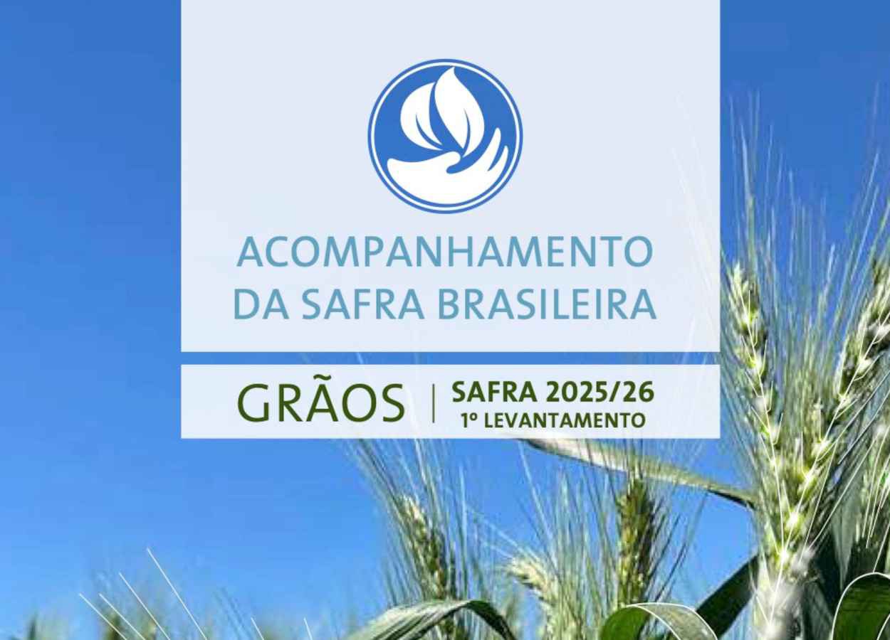 Conab divulga primeiro levantamento da safra 2025/26