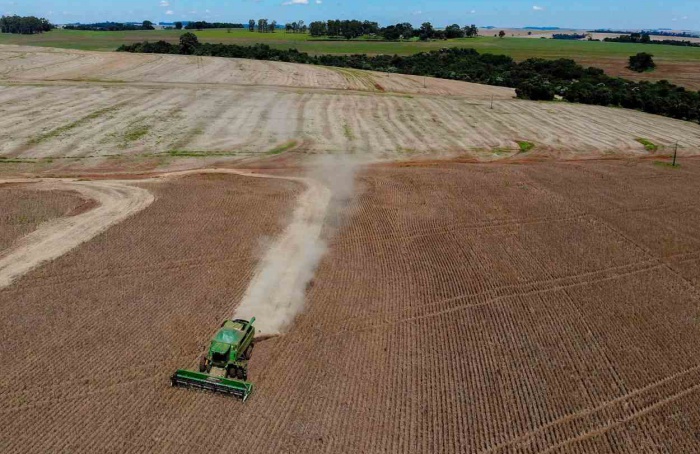 PR Safra 2025/26: estiagem e calor afetam feijão e milho