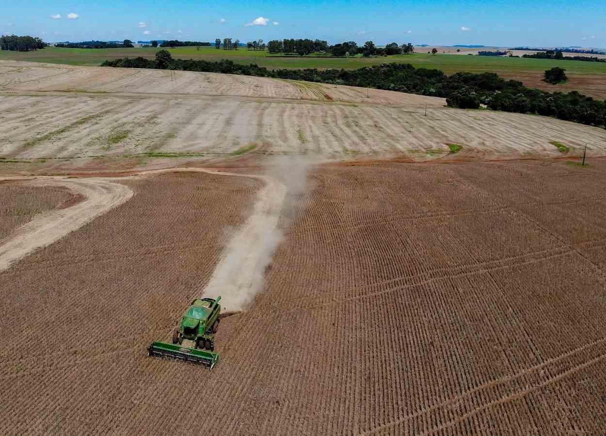 PR Safra 2025/26: estiagem e calor afetam feijão e milho