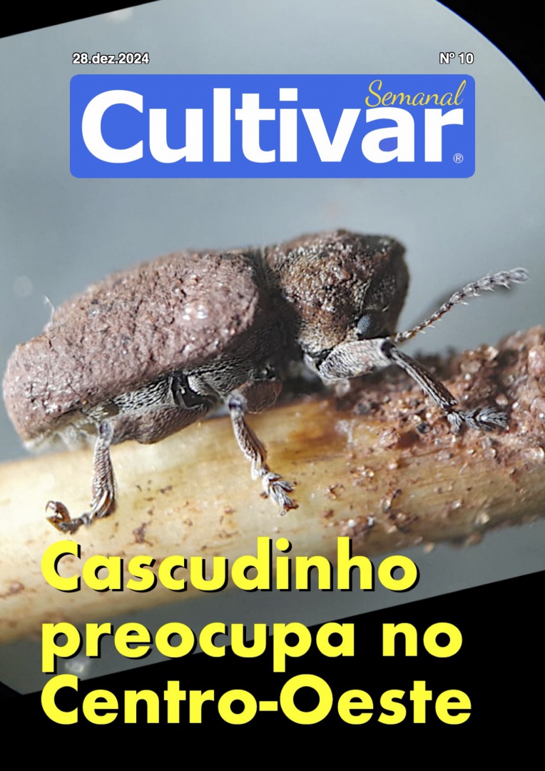 Cultivar Semanal 10