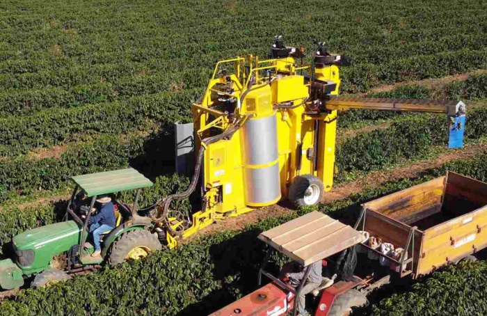 Oxbo lança colhedora de café tracionada no Brasil