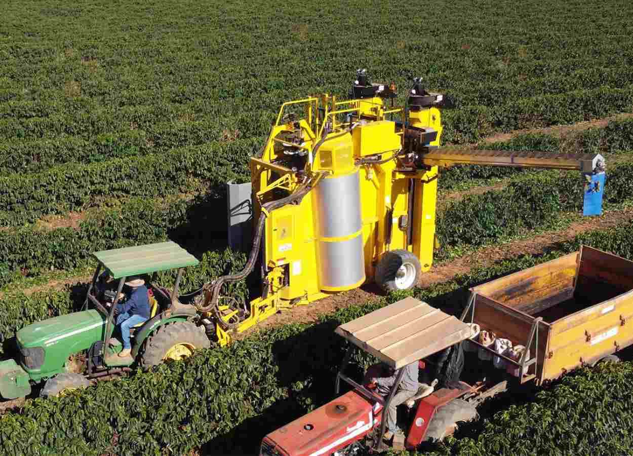 Oxbo lance une récolteuse de café entraînée par tracteur au Brésil