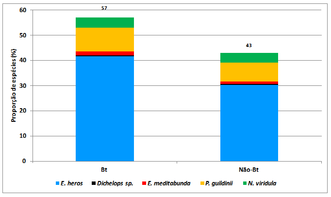 Figura 2 - Proporção de espécies de percevejos em lavouras de soja Bt e não Bt em três safras agrícolas no Brasil (2011/12, 2012/13 e 2013/14).