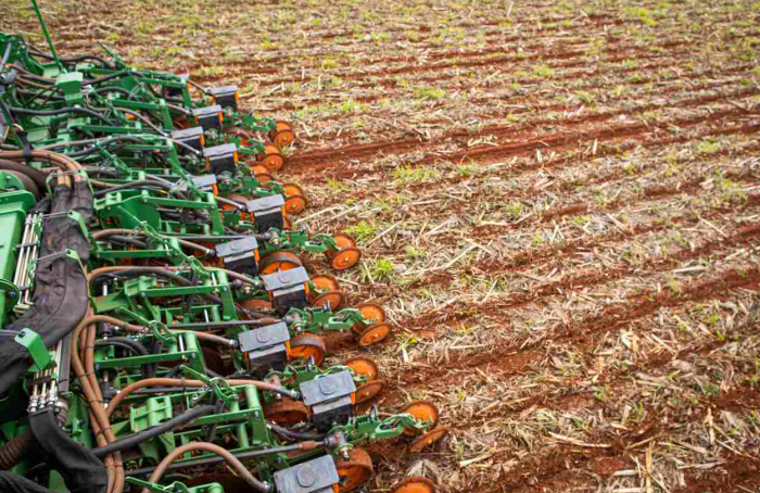 Agrodefesa busca prorrogar em dez dias o prazo de semeadura da soja em Goiás