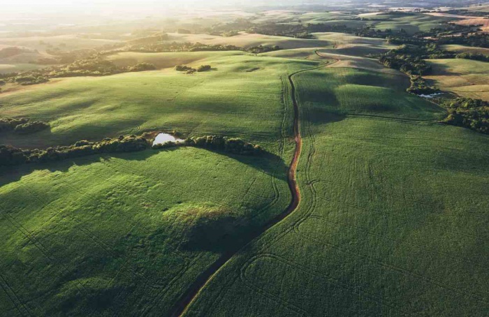 BNDES libera R$ 5,2 bilhões para renegociação de dívidas rurais