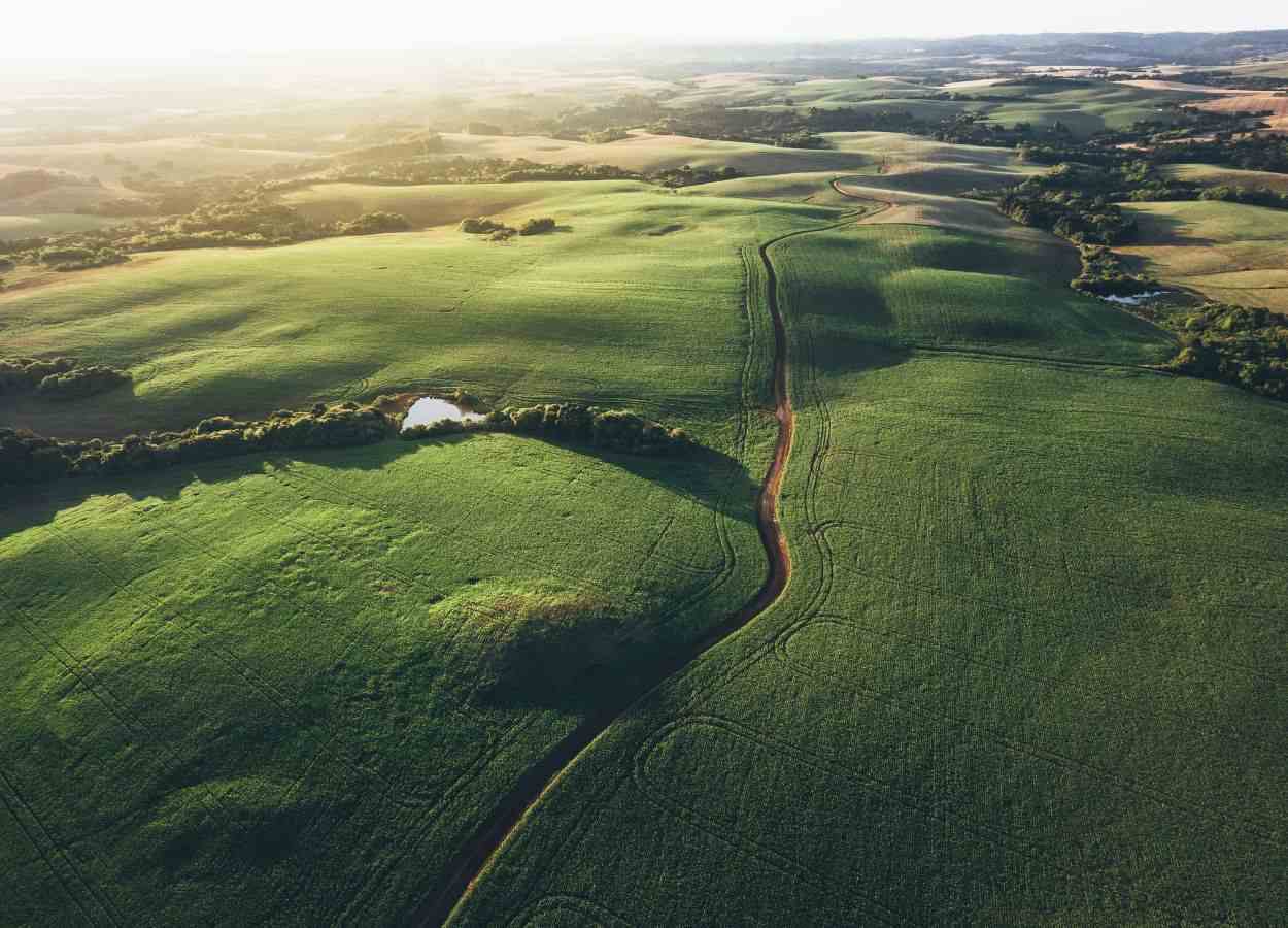 BNDES libera R$ 5,2 bilhões para renegociação de dívidas rurais