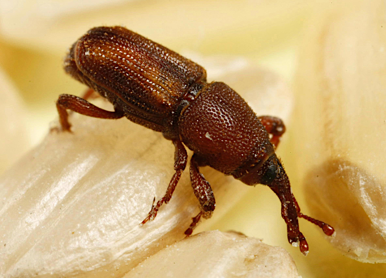 Foto:&nbsp;Joseph Berger