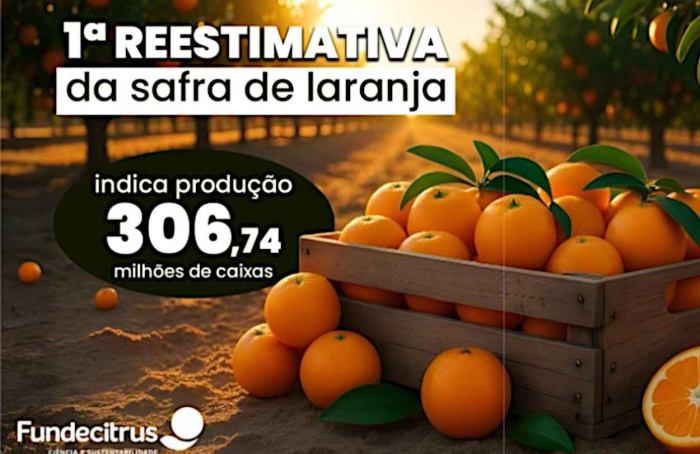 Greening e seca cortam safra de laranja para 306,7 milhões de caixas