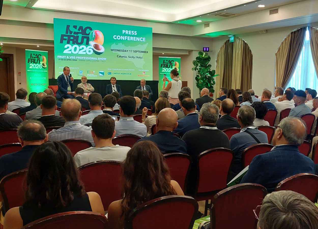 Macfrut 2026 amplia espaço e foca em abacate e manga