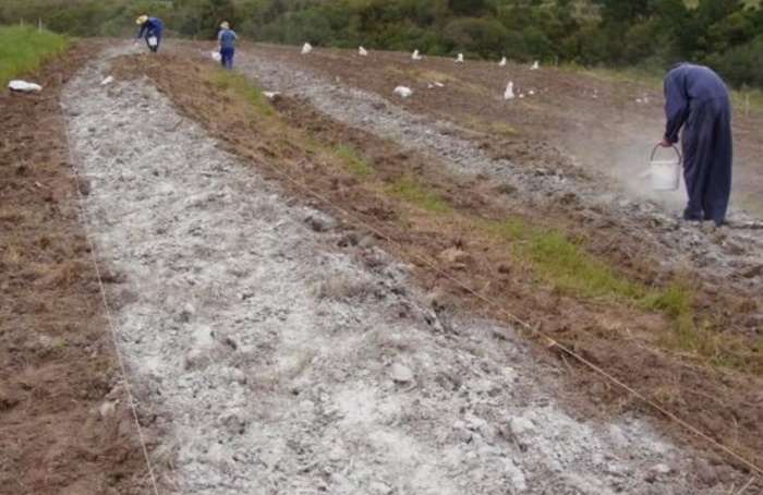 Projeto usa rejeitos de mineração como insumos agrícolas