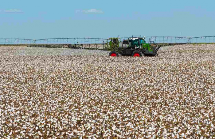 Tecnologia Fendt eleva desempenho das lavouras de algodão