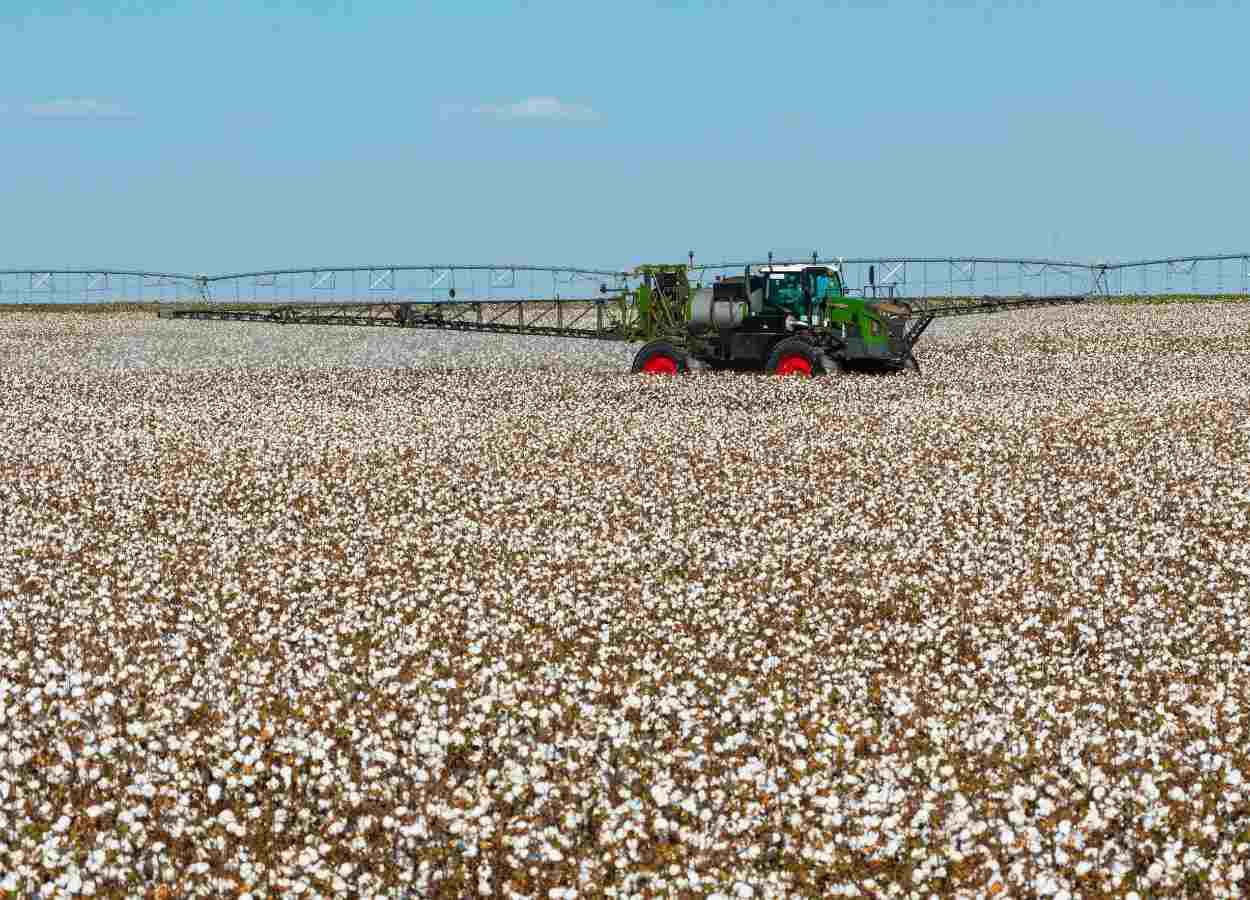 Tecnologia Fendt eleva desempenho das lavouras de algodão