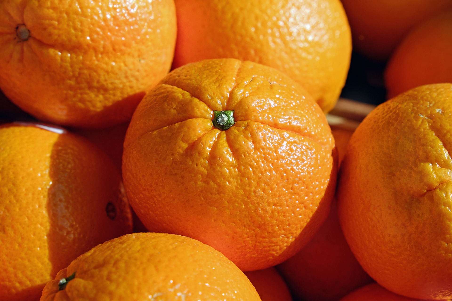 Primeiras propostas para safra 2023/24 de laranjas começaram