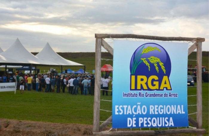 Instituto Rio Grandense do Arroz promove Dia de Campo