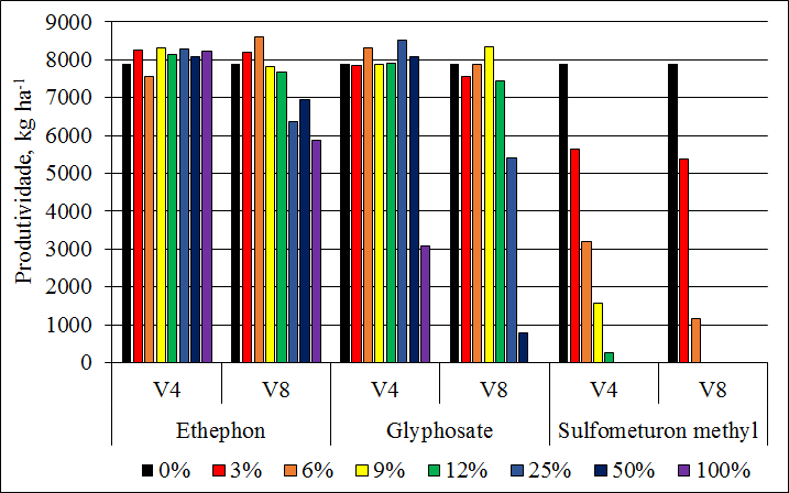 Figura 4. Produtividade de grãos (kg ha-1) em função da deriva (3, 6, 9 e 12% da dose dos maturadores) e erros de aplicação (25, 50 e 100% da dose dos maturadores), quando ocorridos nos estádios V4 e V8 de desenvolvimento da cultura do milho, dos maturadores ethephon, glifosato e sulfometuron methyl.