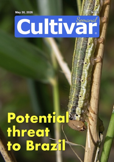 Cultivar Semanal 81
