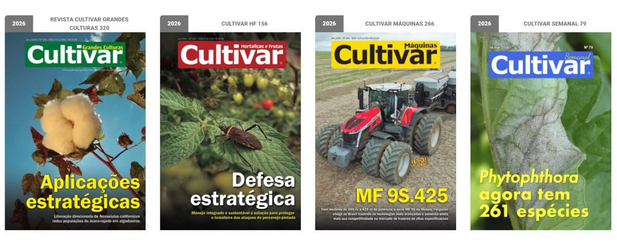 Capas - 2025
