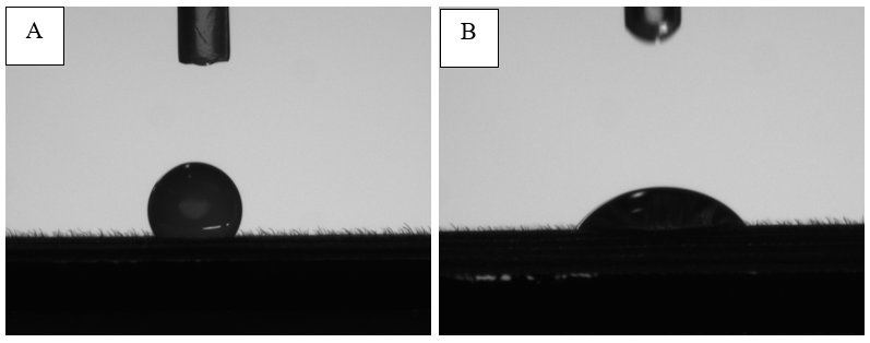 Figura 1. Ângulo de contato de gotas em folhas de trigo. (A) somente água; (B) água + organosiliconado.  - Fotos de Adriano Arrué Melo