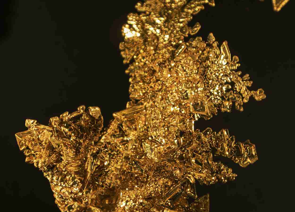 Ouro em nanoescala reduz antracnose