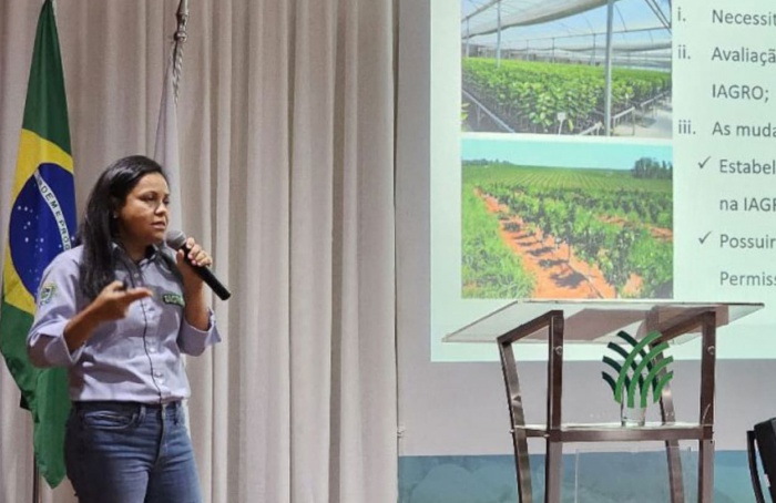 Campo Grande aprova projeto que proíbe murta para combater Greening