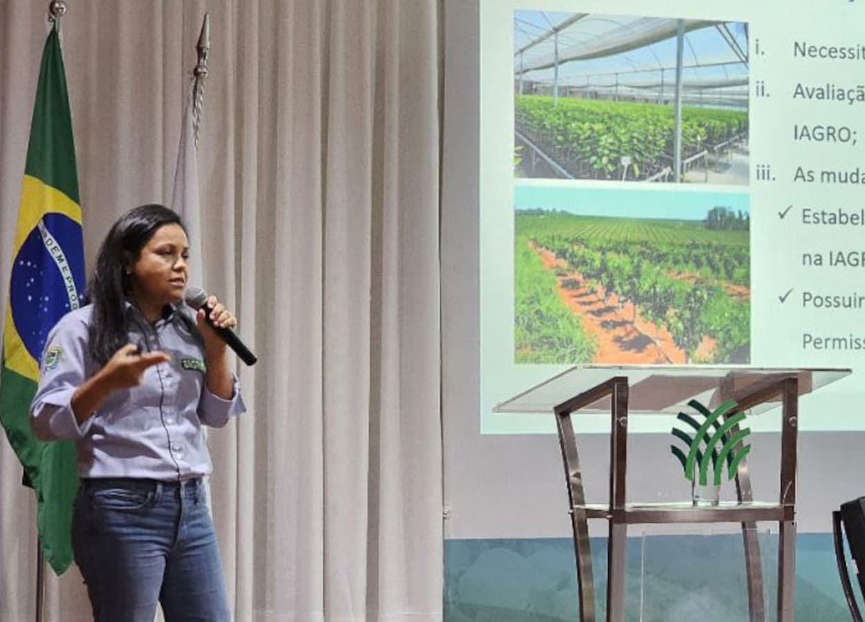 Campo Grande aprova projeto que proíbe murta para combater Greening