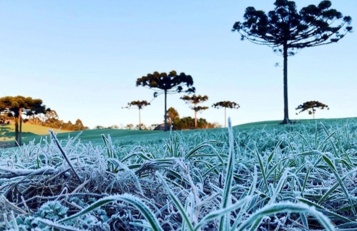 IDR-Paraná e Simepar encerram Alerta Geada 2024 com 120 boletins emitidos