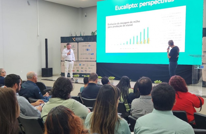 Déficit no mercado de biomassa coloca MT em alerta