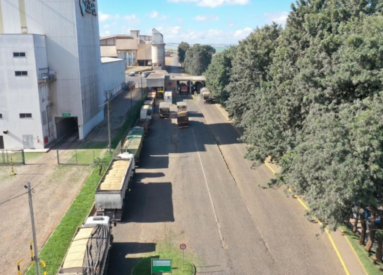 Unidade registra 7,5 mil toneladas em um dia, com fluxo direto de cooperados e ganho de eficiência operacional