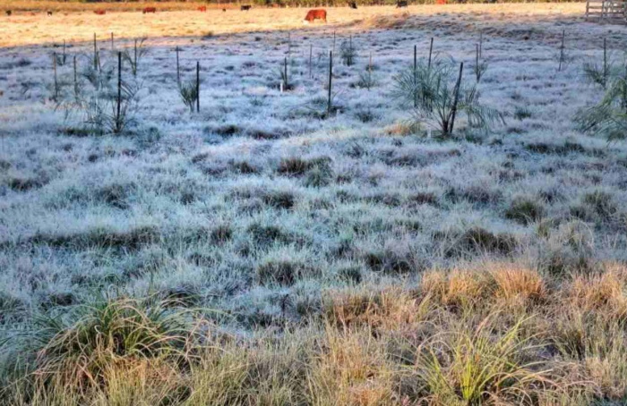 Rio Grande do Sul terá tempo seco no fim de semana