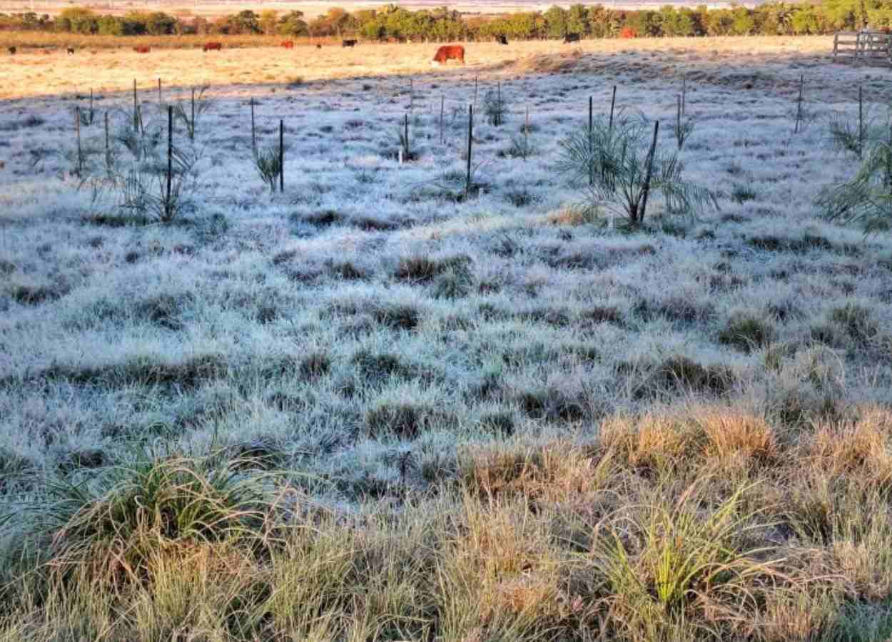 Secretaria prevê possibilidade de geadas, rajadas de vento e chuvas a partir de segunda-feira (6)