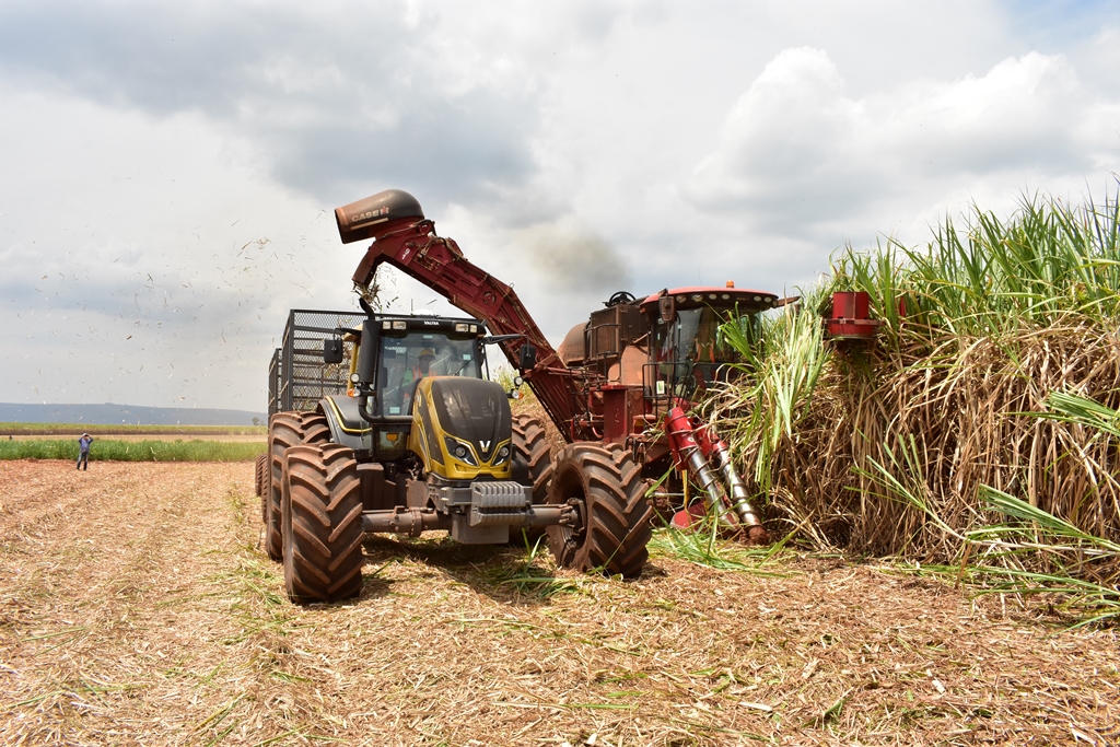Produtividade da cana-de-açúcar no Centro-Sul cresce em média 7,3% de abril a setembro