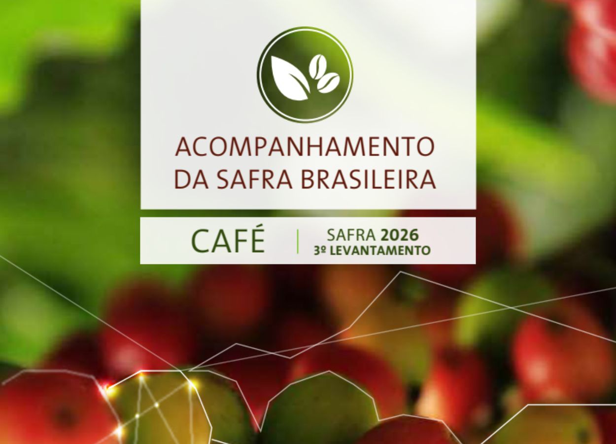 Safra de café deve atingir recorde de 67,6 milhões de sacas