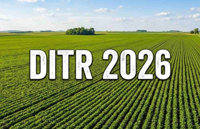 DITR 2026: prazo de entrega começa em 10 de agosto