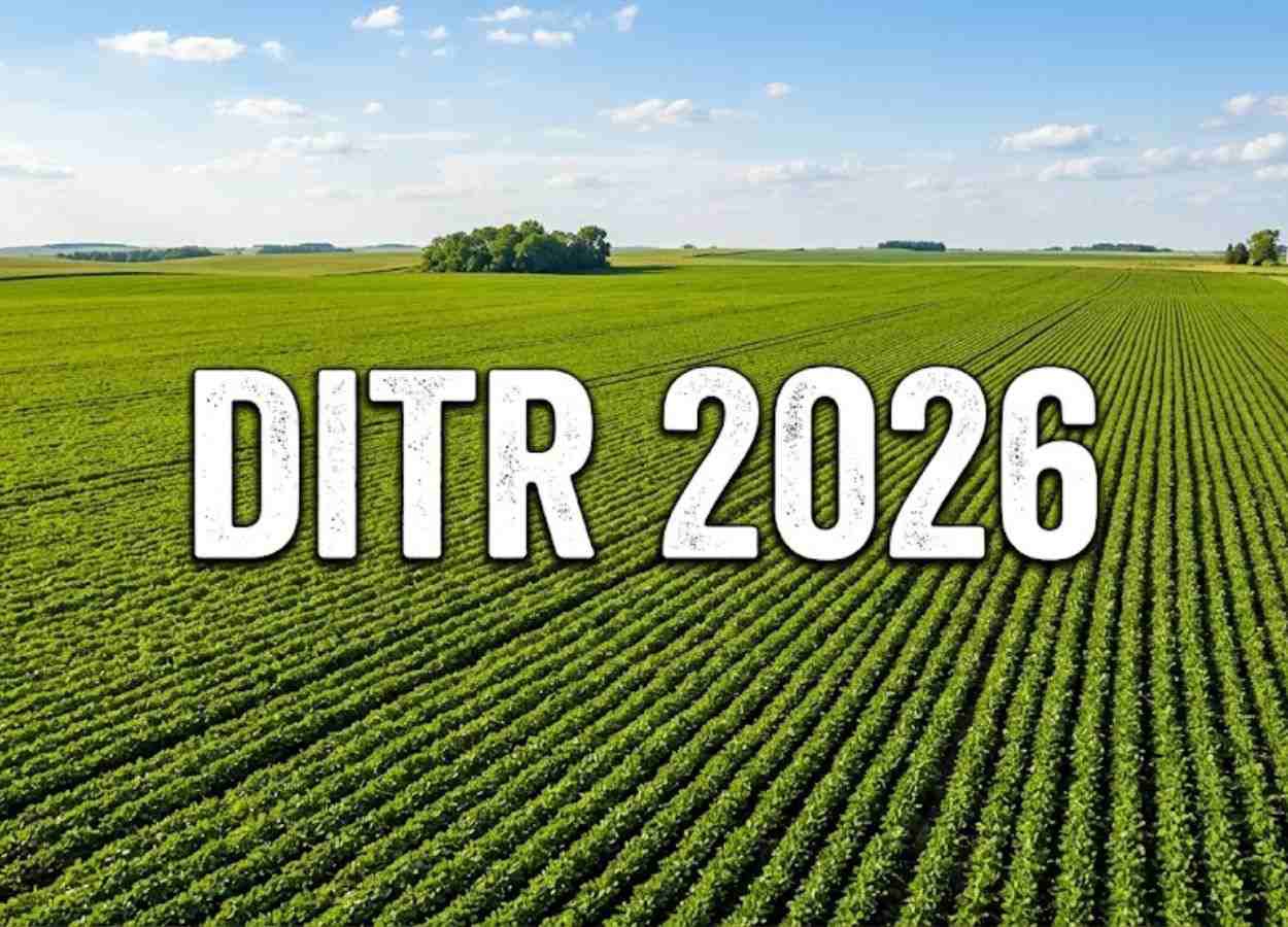 DITR 2026: prazo de entrega começa em 10 de agosto
