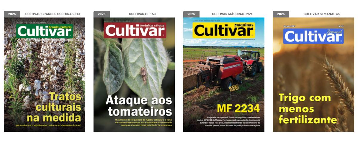 Capas - 2025