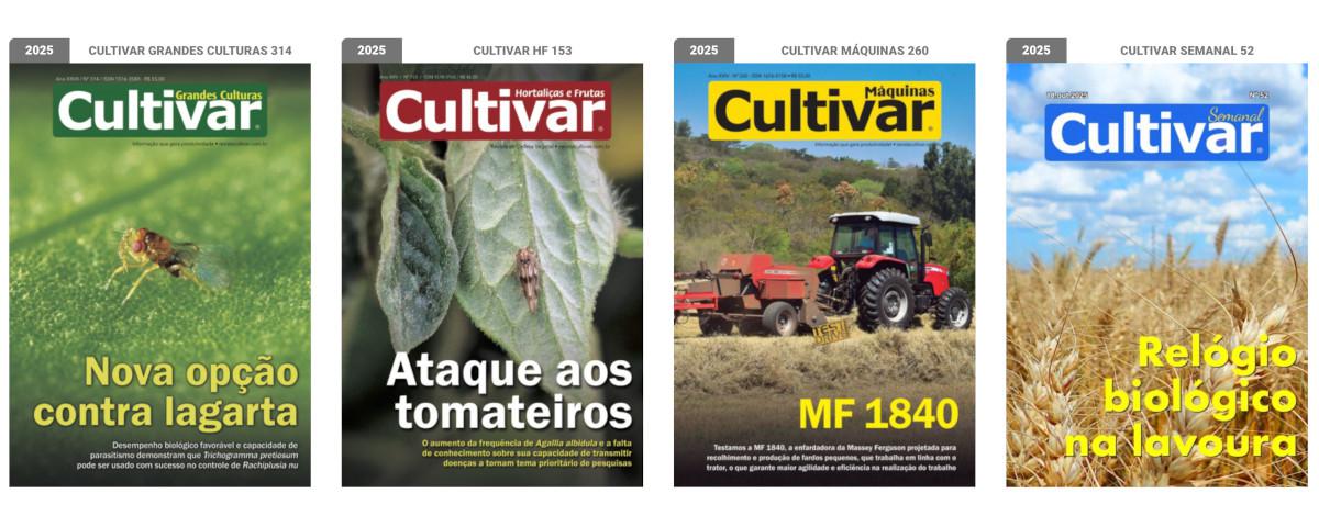 Capas - 2025