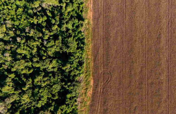 Prodes passa a ser critério para acesso ao crédito rural