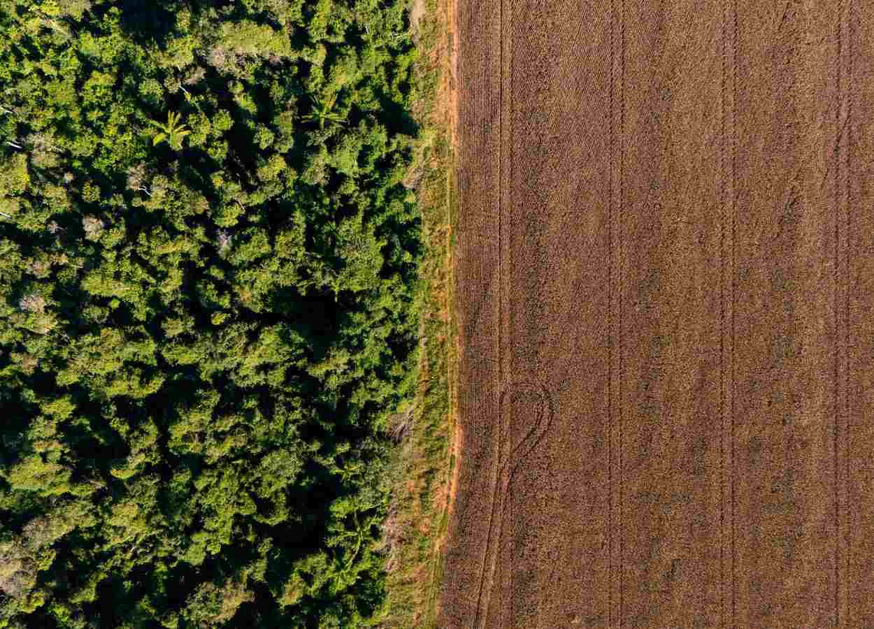 Resolução do CMN nº 5.268/2025 entrou em vigor no último dia 1º de abril