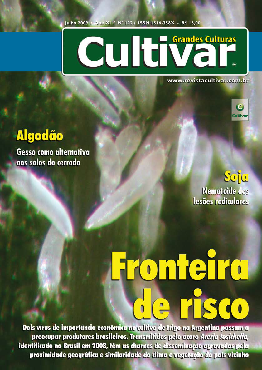 Fronteira de risco