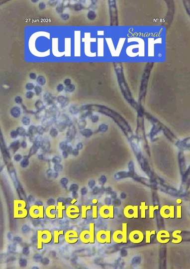 Cultivar Semanal 85
